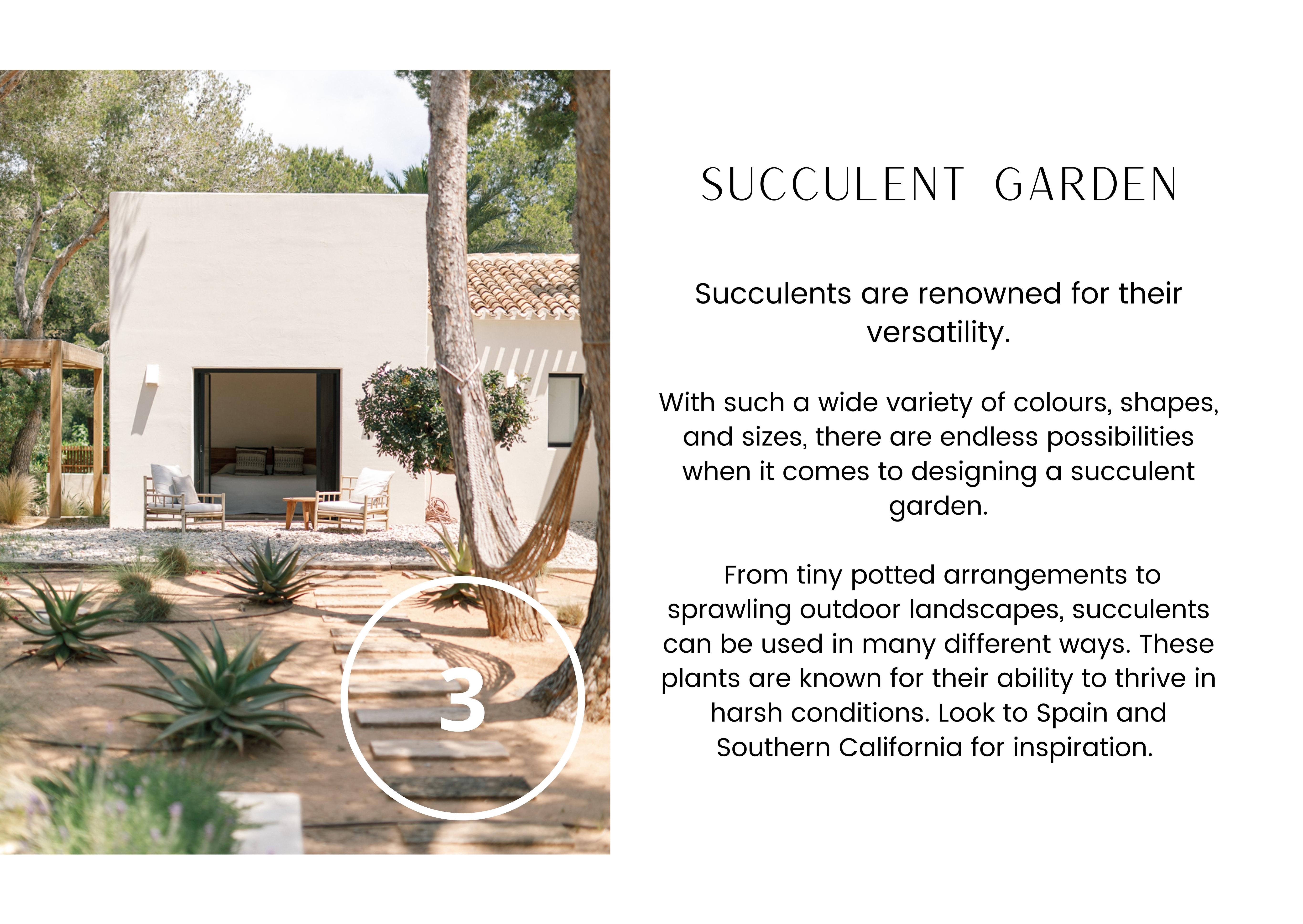 Page 3 Succulent Garden